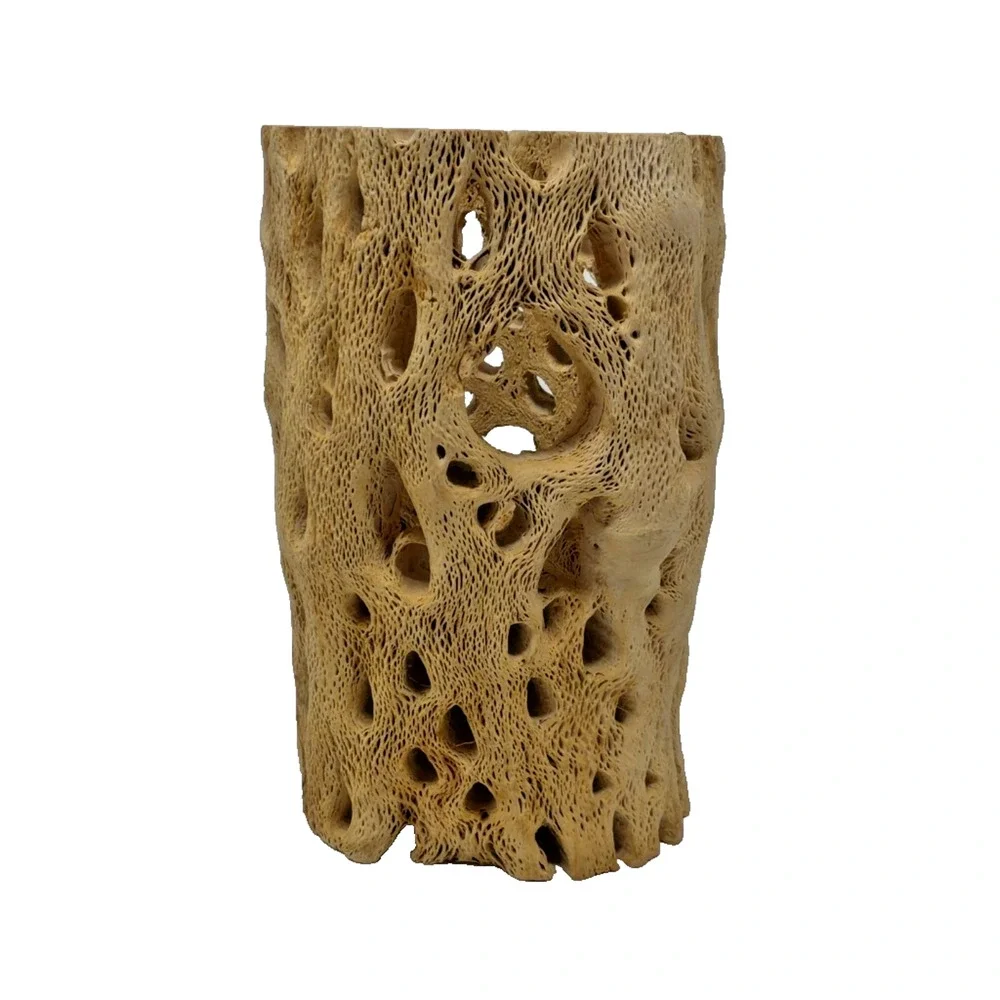 Natural Cholla Cactus Wood Chunk Skeleton Tube 5.5in Aquarium Reptile Decors